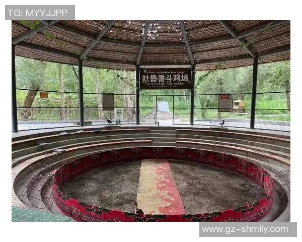 车模与姚明的奇妙邂逅：身高差带来的时尚与运动的完美融合